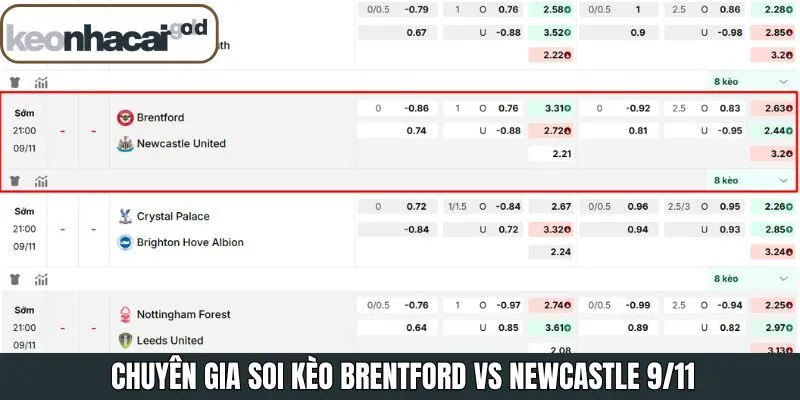 Những tỷ lệ hấp dẫn trong soi kèo Brentford vs Newcastle 9/11