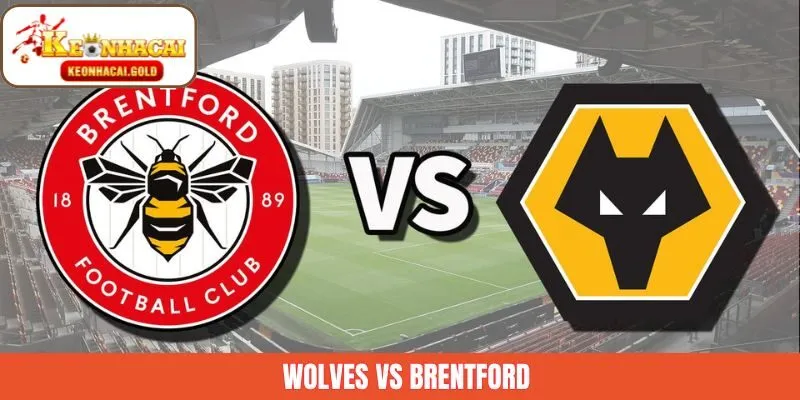 Soi kèo Wolves Vs Brentford 20/12 - Nhận Định Chuẩn Xác