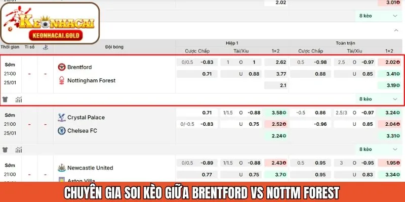 Nhận định soi kèo trận đấu giữa Brentford vs Nottm Forest