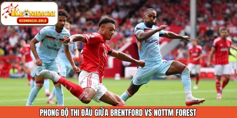Hiệu suất thi đấu gần đây của Brentford vs Nottm Forest 